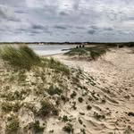 Bennett Seese - @bennettseese - Instagram