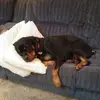 tammybennettsee - @tammybennettsee - TikTok