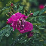 Bennett Thomas - @bennettthomasphoto - Instagram