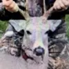 Bennett Wood - @hoodsnwoods22 - TikTok