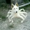 Bennett Wood - @bennett.wood0 - TikTok