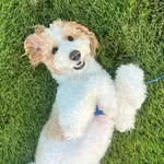 Bennett “Benny” Booth - @thebennybooth - Instagram
