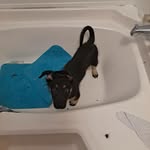 bennie conner - @connerbennie5 - Instagram