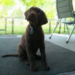 Bennie Daniëls - @benniedaniels9 - Instagram