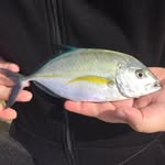 Benny Simpson - @bennys_fishing_ - Instagram
