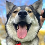 Benny Shaw-Singleton - @bennytheausky - Instagram