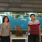 benie - @bennie.surianto88 - Instagram