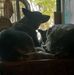 Penny Vanderpool - Facebook
