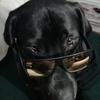 OLD GUY - @benniewebb5 - TikTok