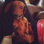 Benny Abney - @bennyandthejets14 - Instagram