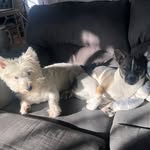 Archer Costanza - @archerbennysd - Instagram