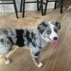 Ben archer - @ben.archer - TikTok