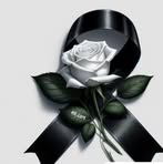 Benny Argollo - Facebook