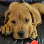 Bailey - @benny_bailey2 - Instagram