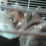 Benny & Bailey - @bennyxbailey - Instagram