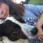 Benny And Bailey - @benny_the_brindle_pit_mix - Instagram