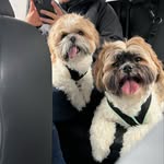 BennyBailey - @bennybailey59 - Instagram