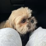 Benny - @benny_baines - Instagram