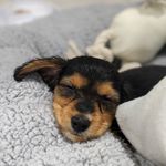 @benny__baker - Instagram