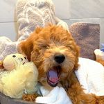 Benny Baker - @bennybakerdood - Instagram