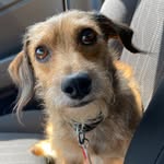 Benny Barefoot - @littlebennybarefoot - Instagram