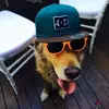 Benny Barr - @benny.barr - TikTok