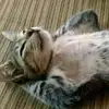 Benny barra - @benny.barra6 - TikTok