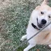 Benjamin Barry - @benny.the.polar.bear - TikTok