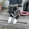 Benny Barry - @benny.barry1 - TikTok