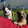 bennyandbarry - @bennyandbarry - TikTok