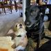 Udder Benny an Smol Baxter - Facebook