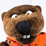 Benny Beaver - @bennythebeaver - Instagram