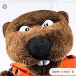 Benny Beaver - @oregonstateuniversitybeavers - Instagram