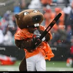 Benny Beaver - @bennybeaver25 - Instagram