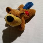 Benny the Beaver - @adventuresofbennybeaver - Instagram