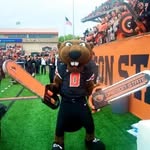 Benny the Beaver - @benny.fuxx - Instagram