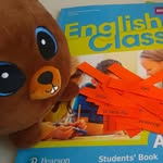 Benny the beaver 🐻 - @bennythebeaverenglish - Instagram