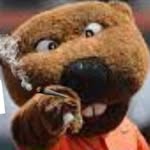 @bennybeaver_believer - Instagram