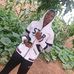 Benny Benedict - Facebook