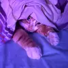 BennyBenedict - @bennybenedict26 - TikTok