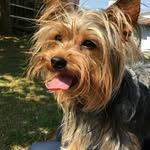 Benny Benitez - @be.nny331 - Instagram