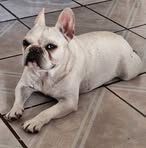 Benny Benítez - Facebook