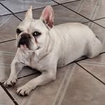 Benny Benítez - @bennybenitez1980 - Instagram