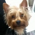 Benny Martins Bernal - @benny_yorkshire - Instagram