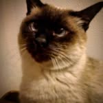 Benny Bernard - @_benny_bernard - Instagram