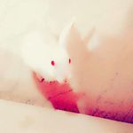 writetoexpress - @_benny_berry - Instagram