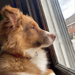 Benny - @bennybigblunts - Instagram