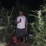 Benny Blunts - @blunts.benny - Instagram