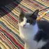 user6321303736304 - @bennybluntz - TikTok