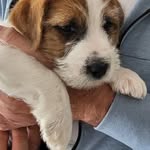 @bennybohm2024 - Instagram